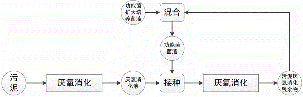 Method for improving anaerobic digestion performance of sludge and synchronously enlarging cultivation by functional bacteria