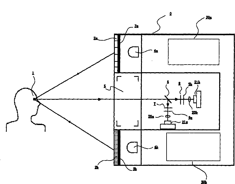 Combined bioassay system for iris and cortical tissue