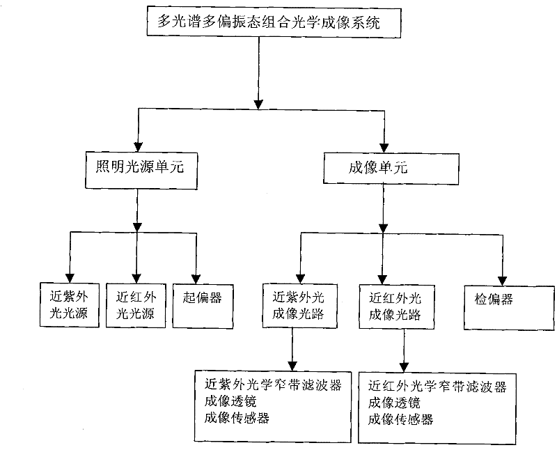 Combined bioassay system for iris and cortical tissue