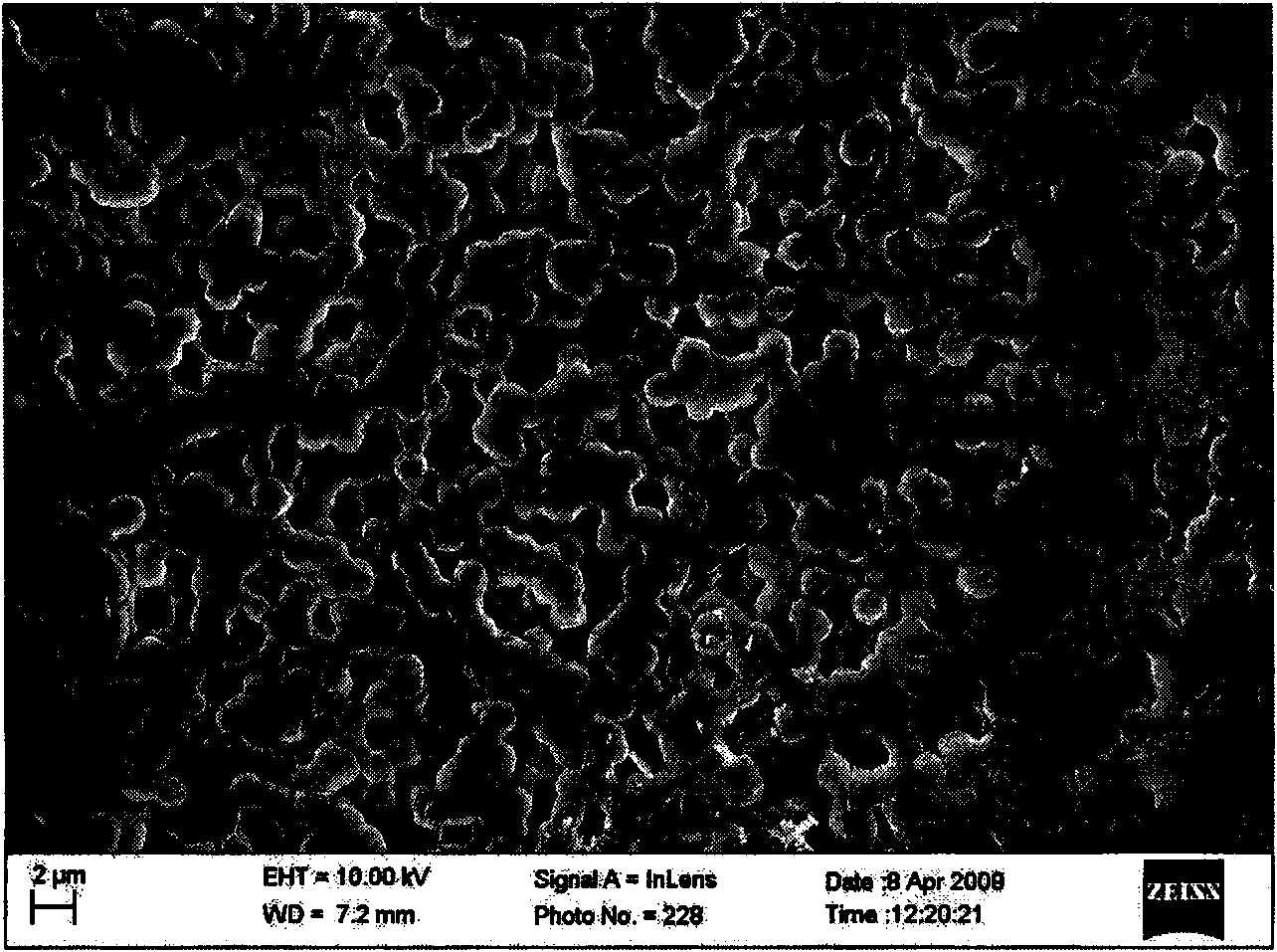 Preparation method of a non-hydrated proton exchange membrane for reducing methanol permeability