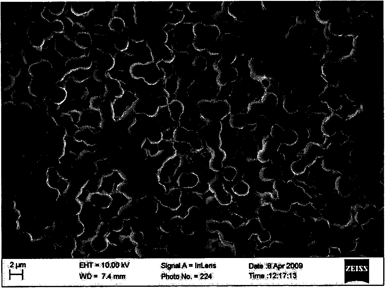 Preparation method of a non-hydrated proton exchange membrane for reducing methanol permeability