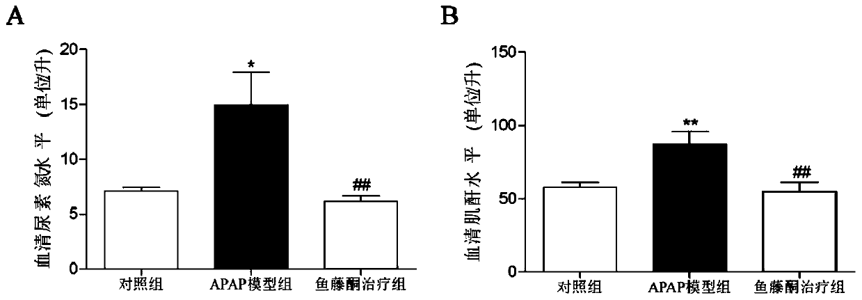 Use of rotenone for the preparation of acute kidney injury