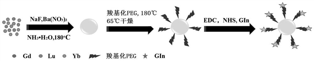 Nanoparticle with core-shell structure, preparation method and application