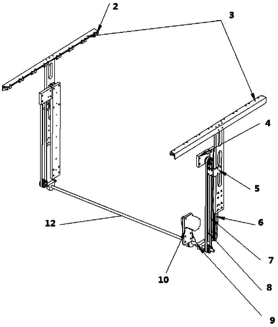 Human back curve detection device