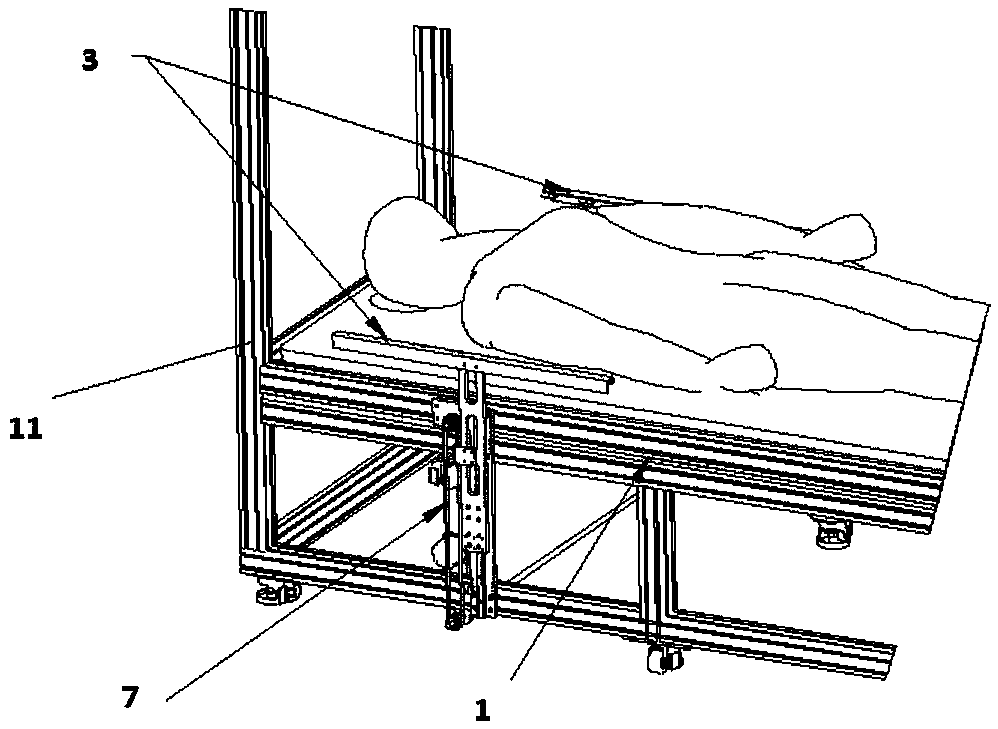 Human back curve detection device