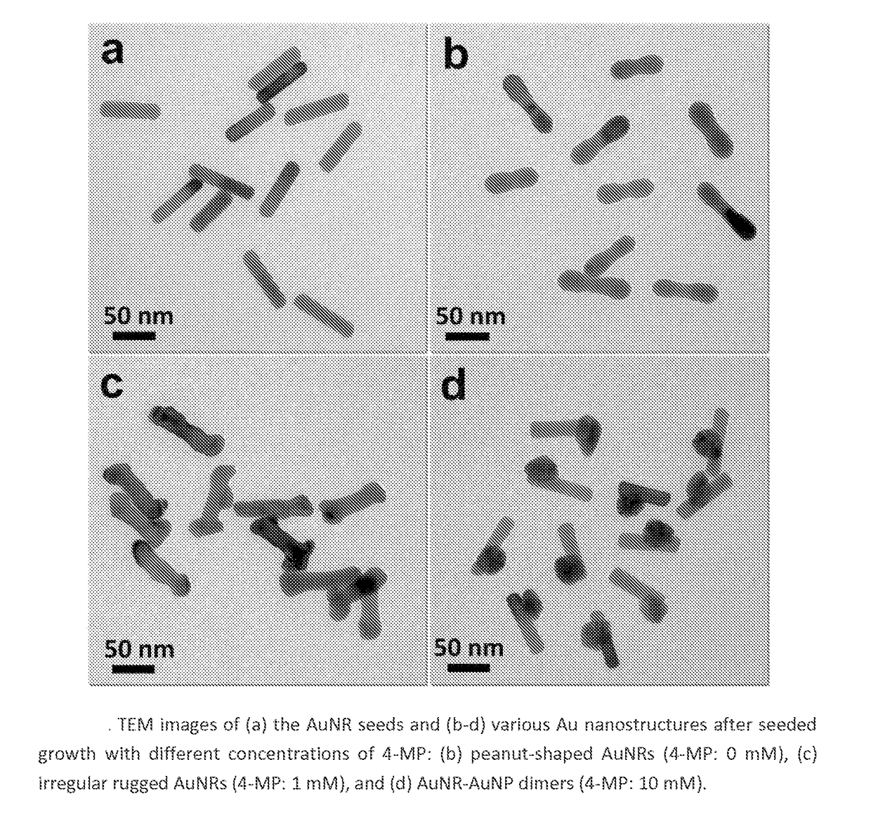 Asymmetric monometallic nanorod nanoparticle dimer and related compositions and methods