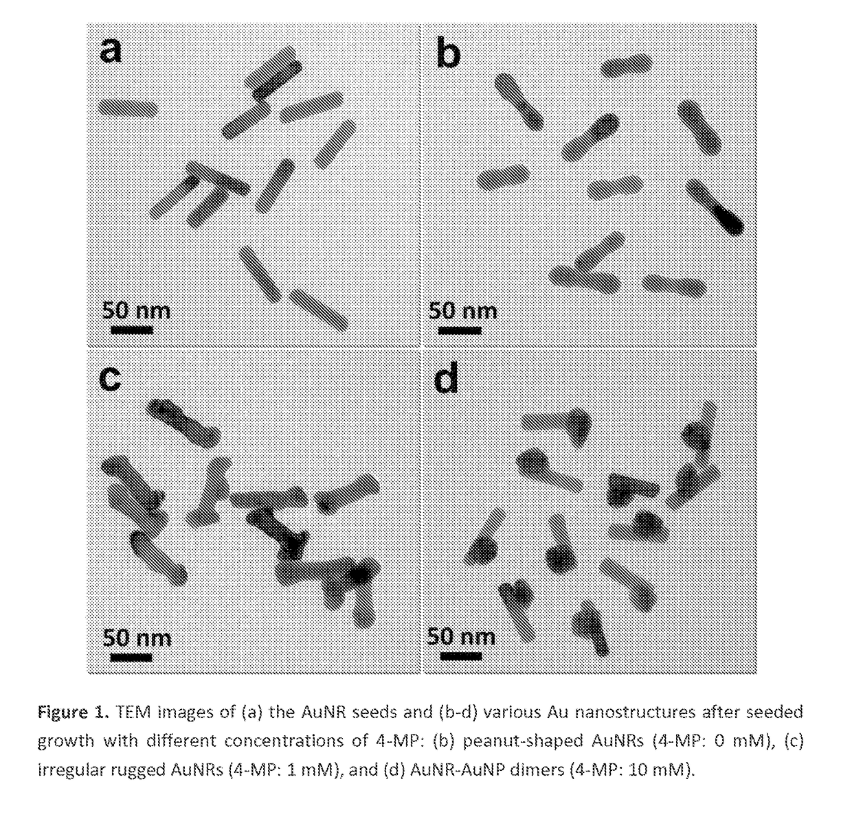 Asymmetric monometallic nanorod nanoparticle dimer and related compositions and methods