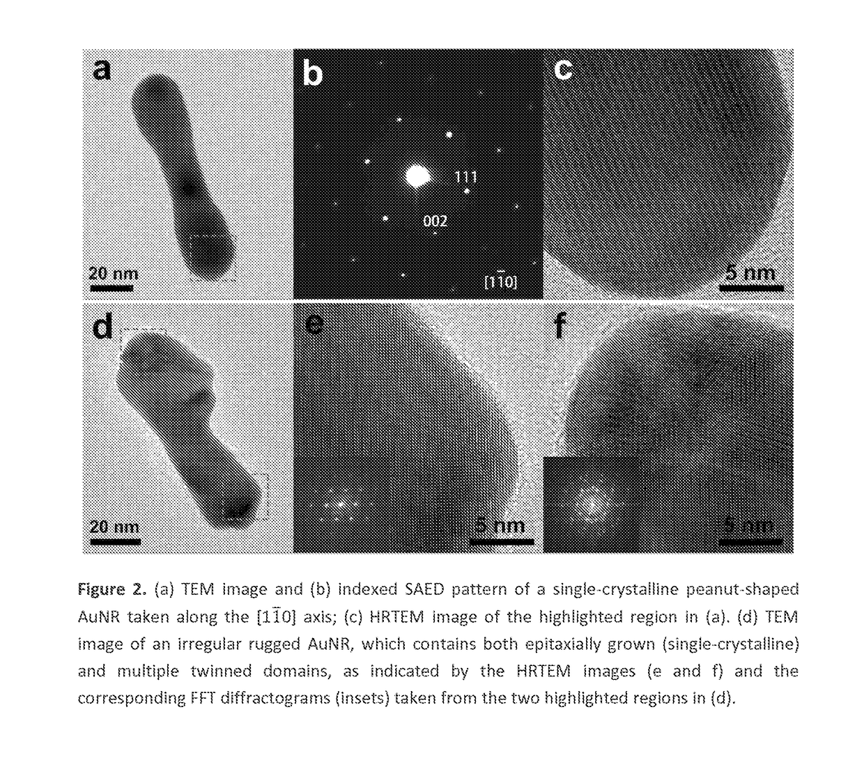 Asymmetric monometallic nanorod nanoparticle dimer and related compositions and methods