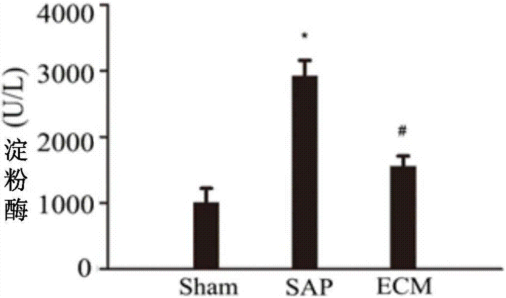 Preparation method and application of pancreas substrate hydrogel for repairing pancreatic tissue