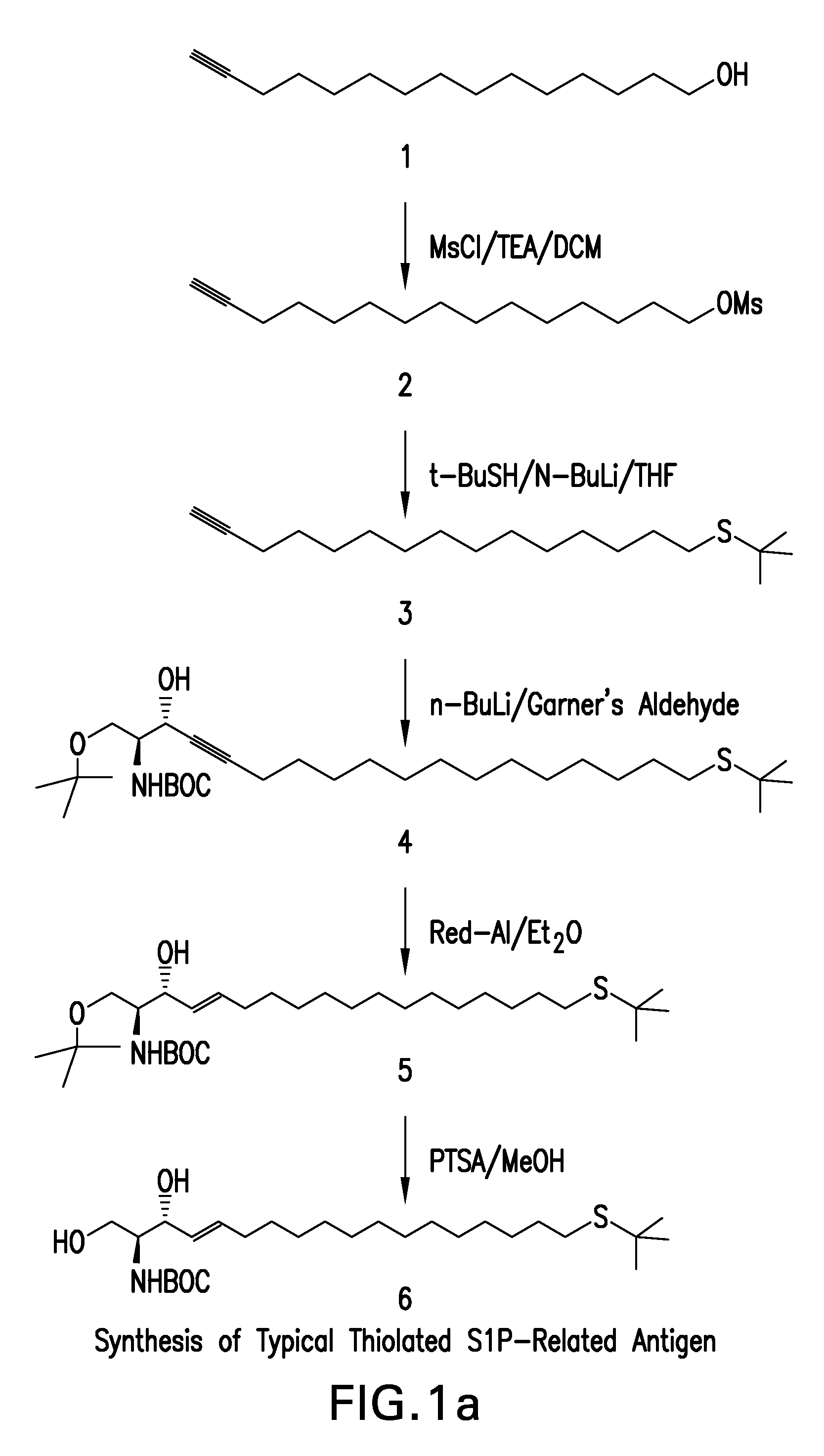 Compositions and Methods for Binding Lysophosphatidic Acid