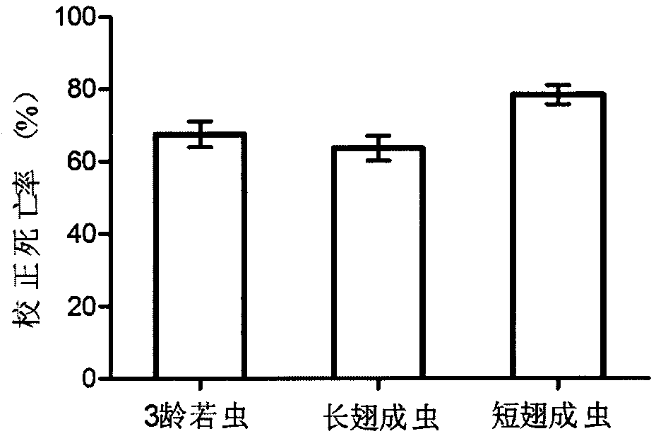 Serratia marcescens S-JS1 and application thereof