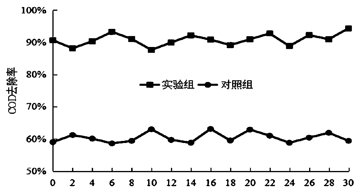 Compound microbial agent for kitchen oil and wastewater treatment, and preparation method and applications of compound microbial agent