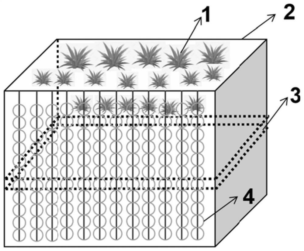 Water body in-situ algal inhibition treatment system and method based on UVB-LED and floating-leaved plants