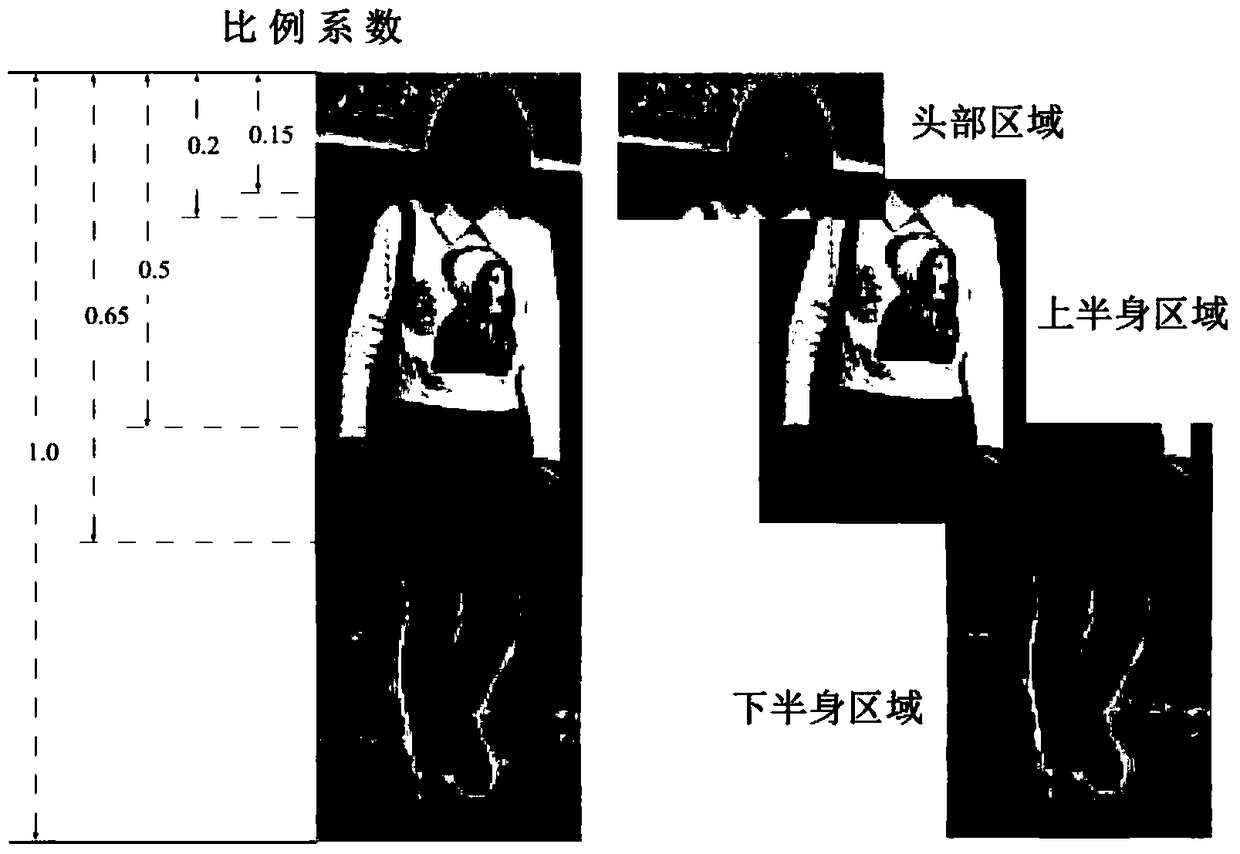 A Pedestrian Gender Recognition Method Based on Area Segmentation