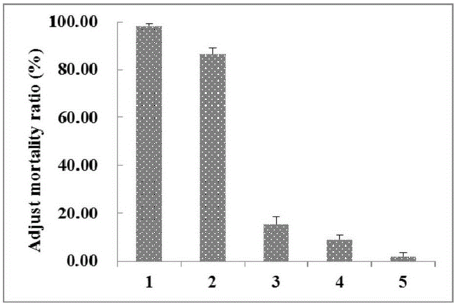 Bacillus mycoides R2 strain and application thereof in preventing and controlling plant root-knot nematodes