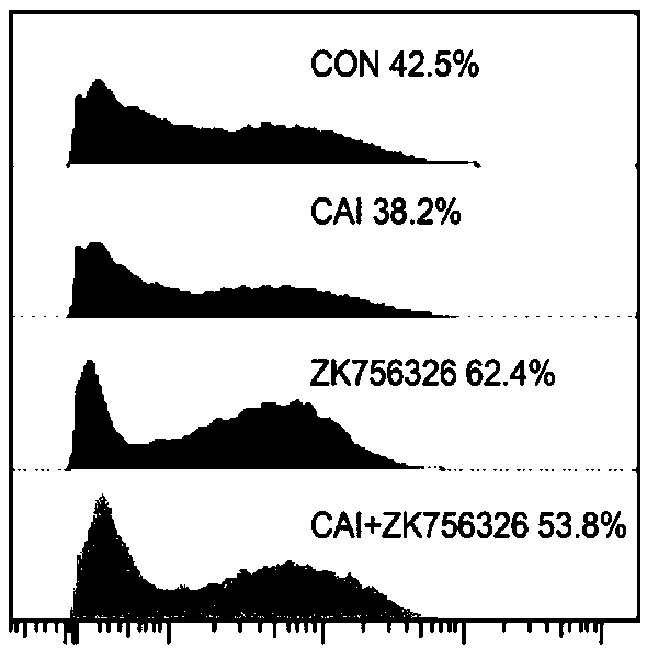 Application of CAI (Carboxyamidotriazole) and IDO1 (Indoleamine 2,3-Dioxygenase) inhibitor combination in resisting tumor