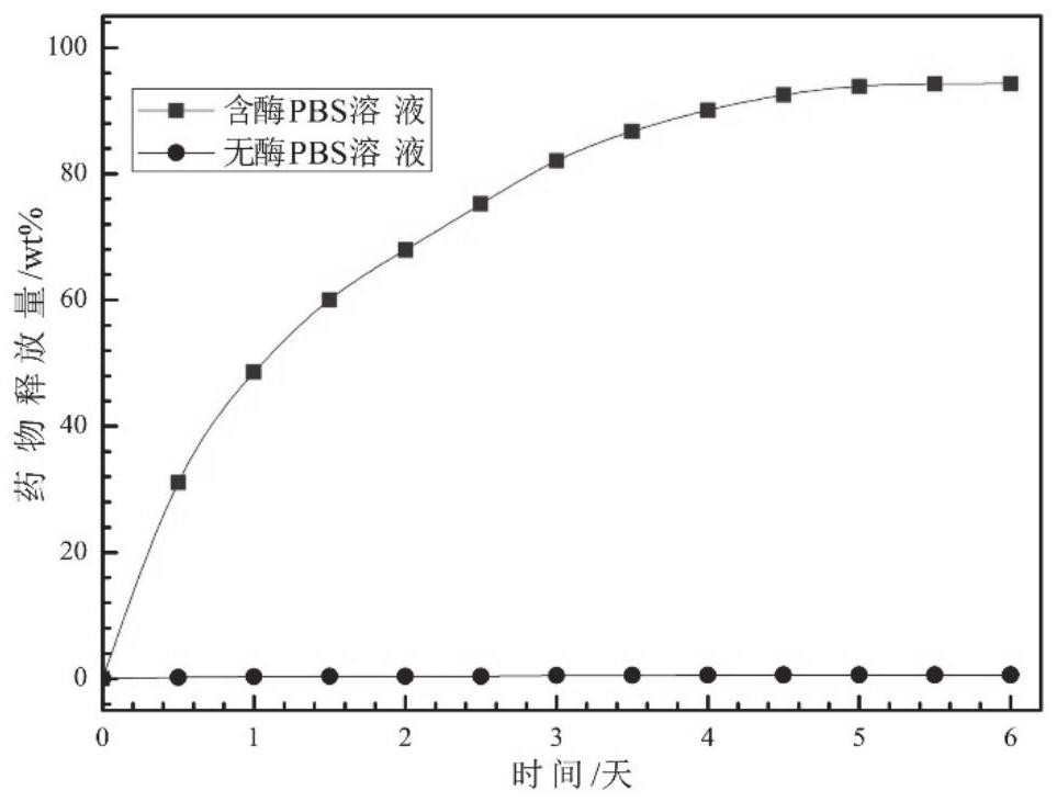 Hydrogel capable of loading high-hydrophobicity drug as well as preparation method and application of hydrogel