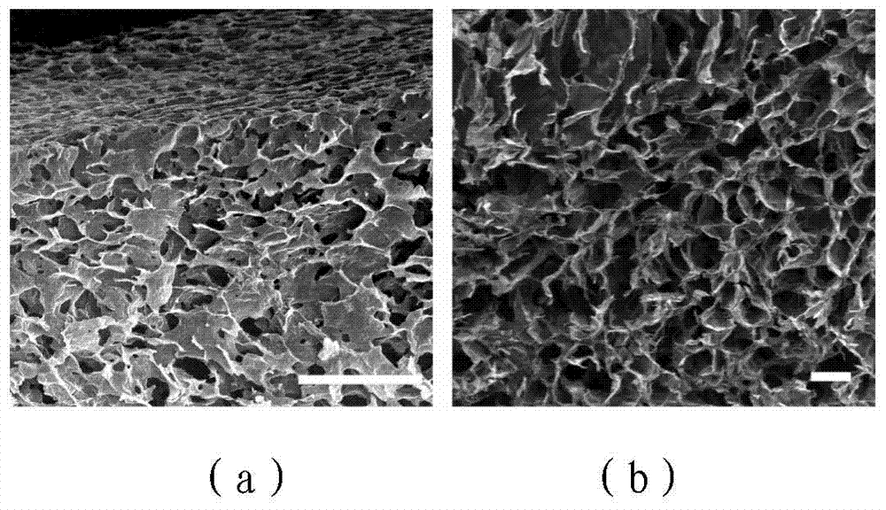 Ordered gas diffusion electrode, and production method and application thereof