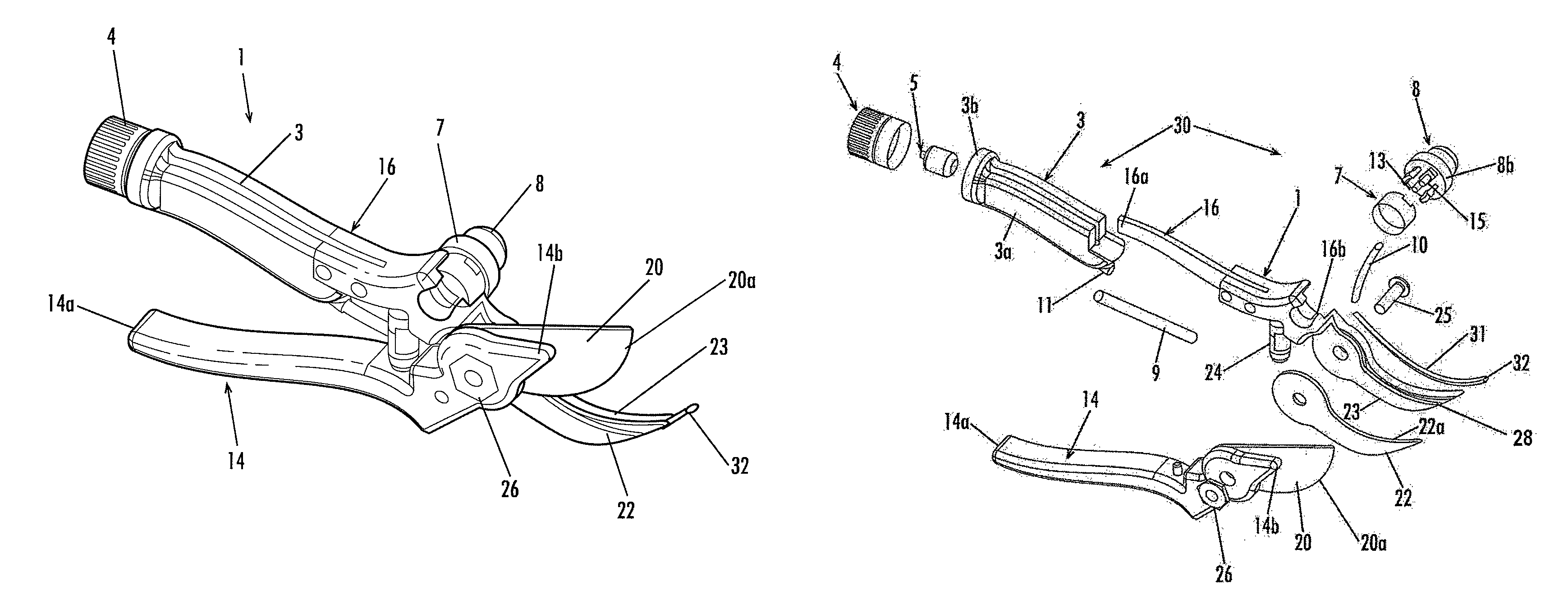 Pruning clipper for dispensing a chemical treatment