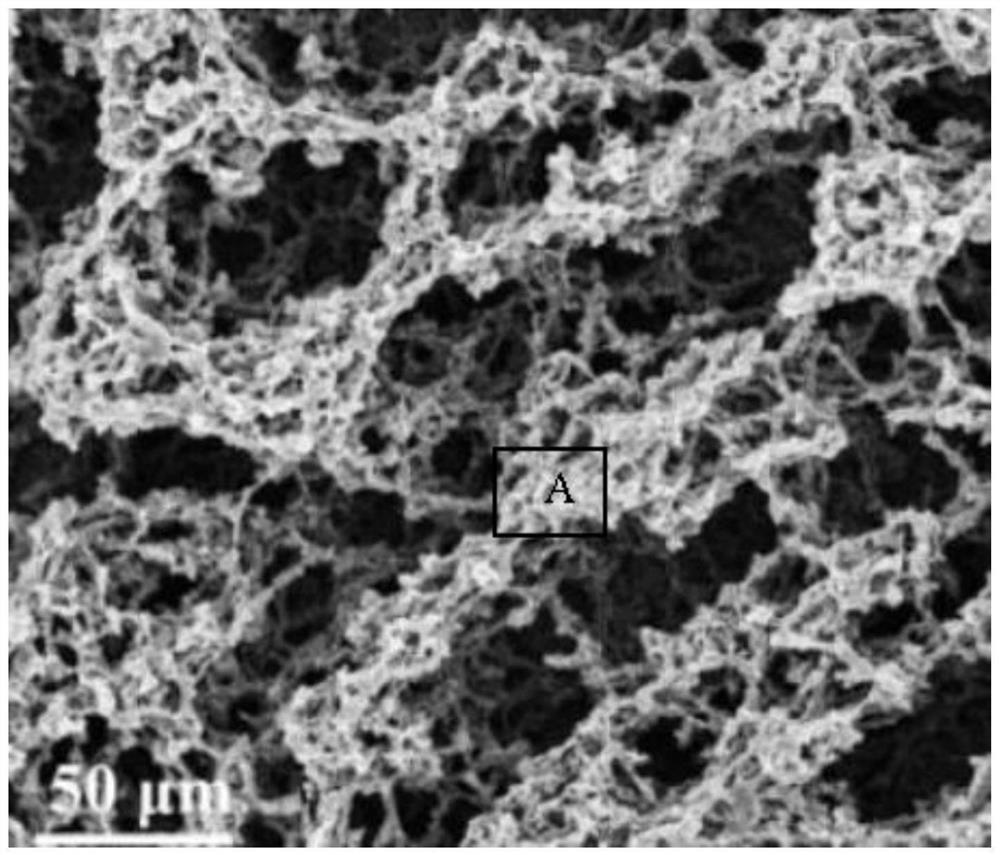 Application of a 3D Hierarchical Porous Graphene/Polypyrrole Composite Material