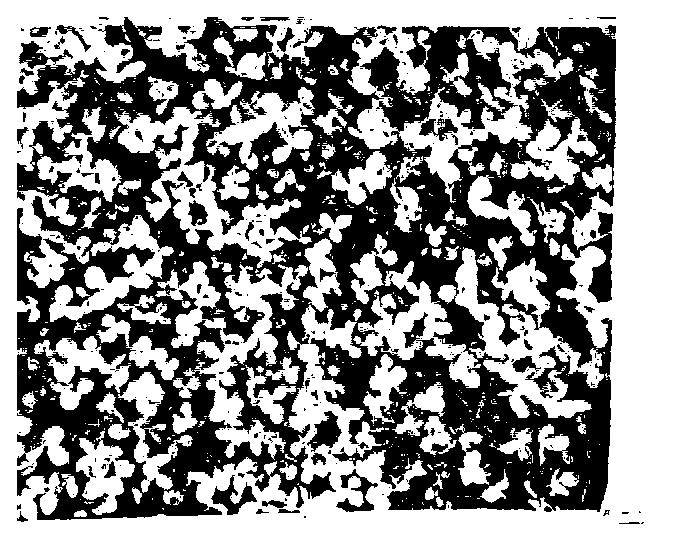 Low-corrosion complex chloride snow-melting agent