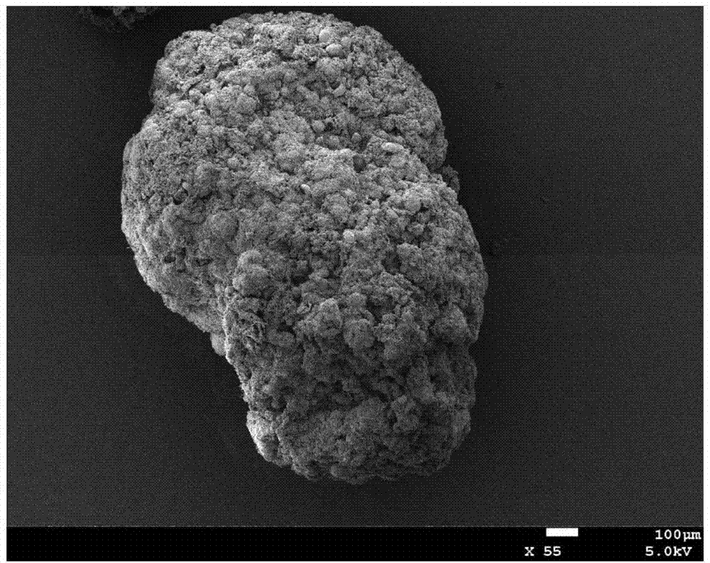 Synchronous nitrification and denitrification coupled dephosphorization method for domestic sewage with low carbon nitrogen ratio