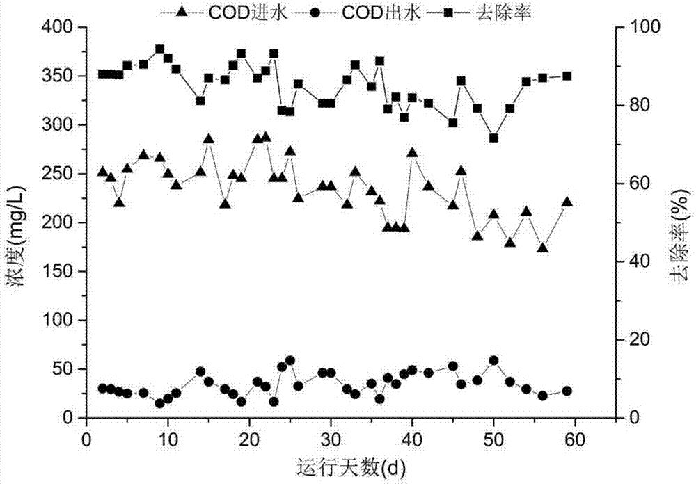 Synchronous nitrification and denitrification coupled dephosphorization method for domestic sewage with low carbon nitrogen ratio