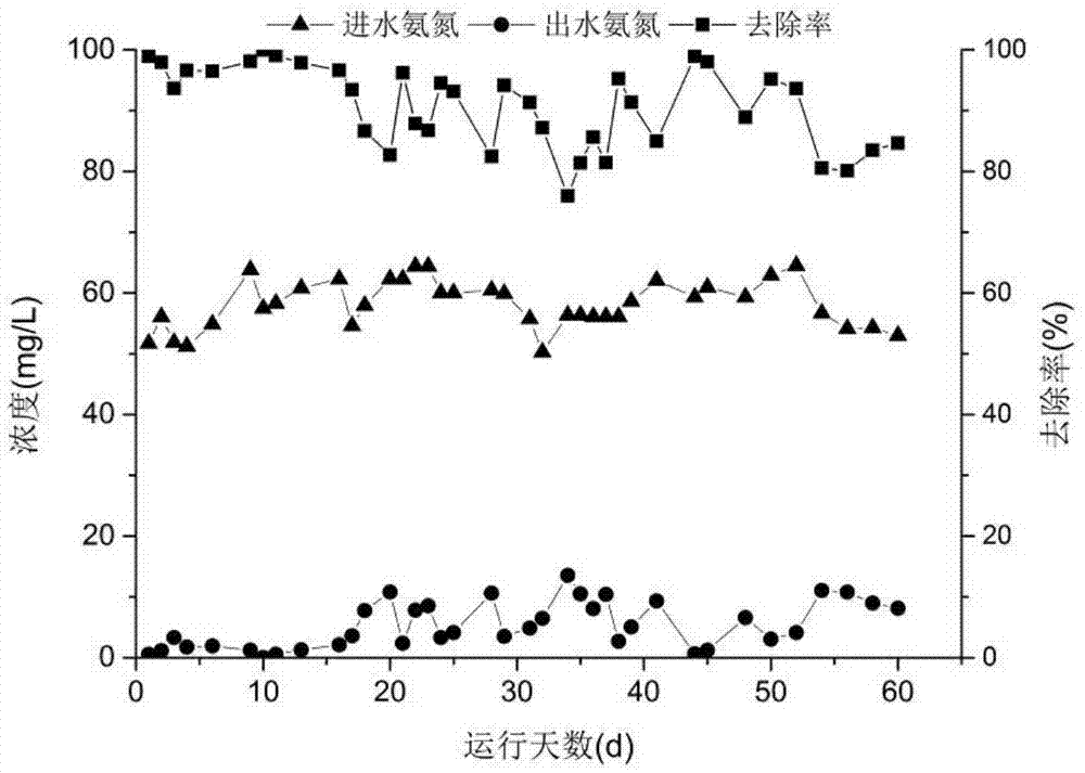 Synchronous nitrification and denitrification coupled dephosphorization method for domestic sewage with low carbon nitrogen ratio