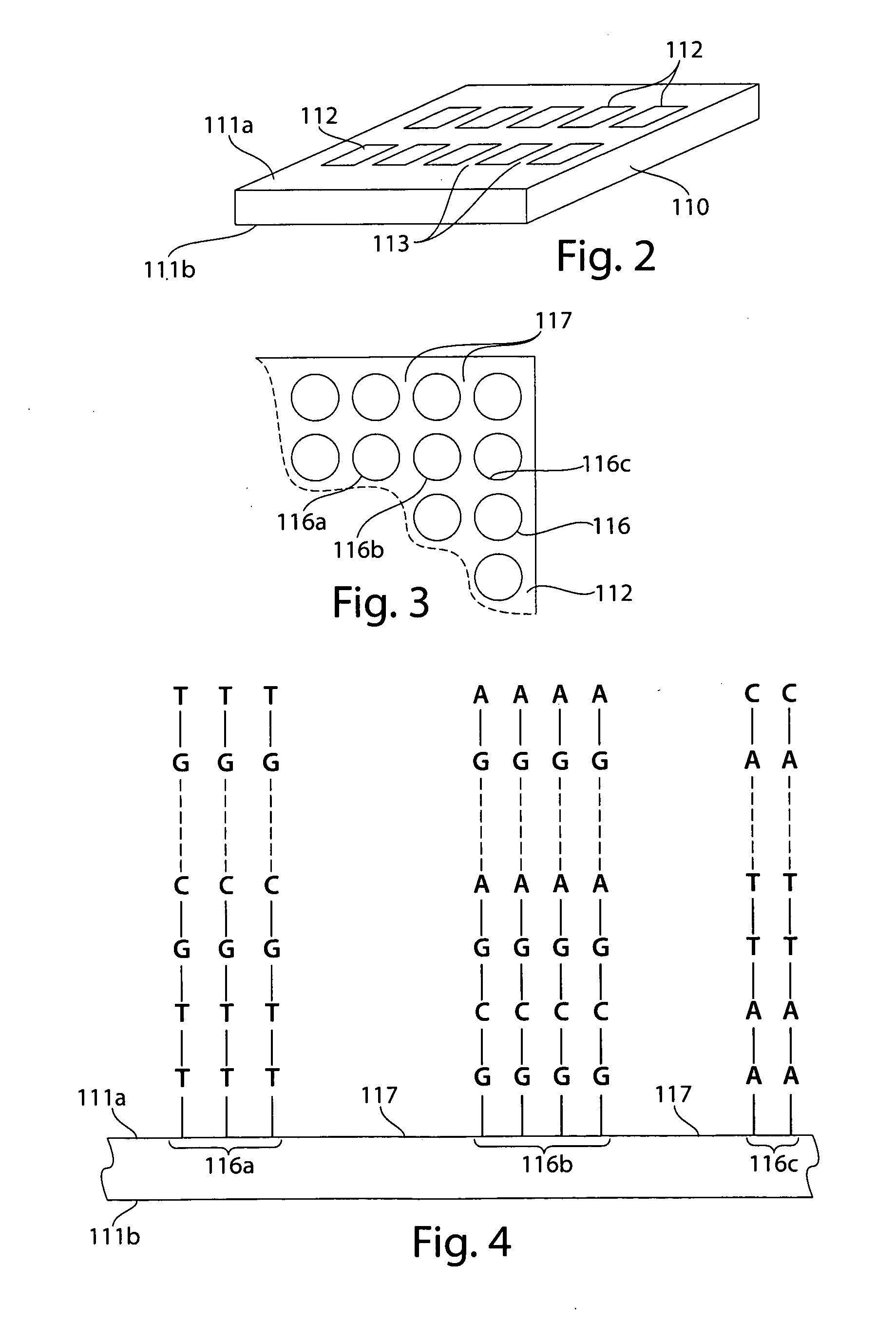 Competitive oligonucleotides