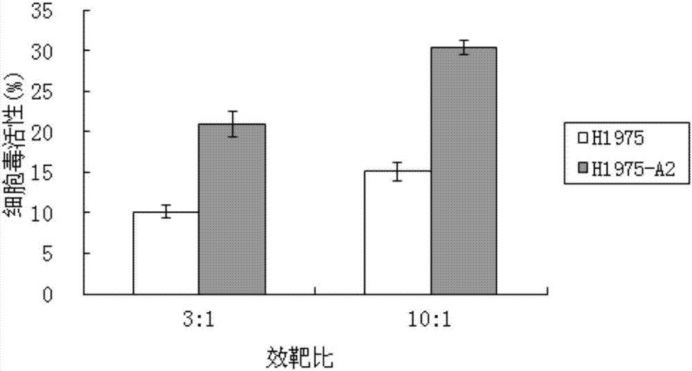 Antigen peptide T790M-4 and application to preparation of medicines for treating non-small cell lung cancer thereof