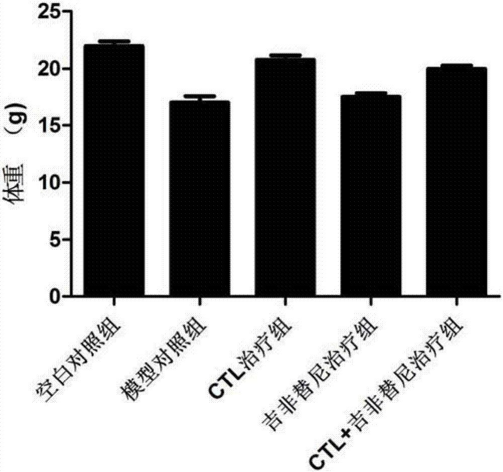 Antigen peptide T790M-4 and application to preparation of medicines for treating non-small cell lung cancer thereof