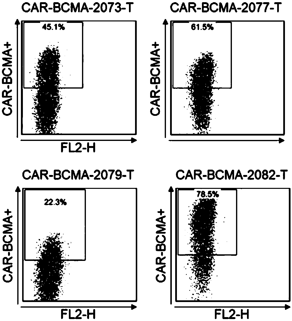 BCMA antibody, chimeric antigen receptor and drug