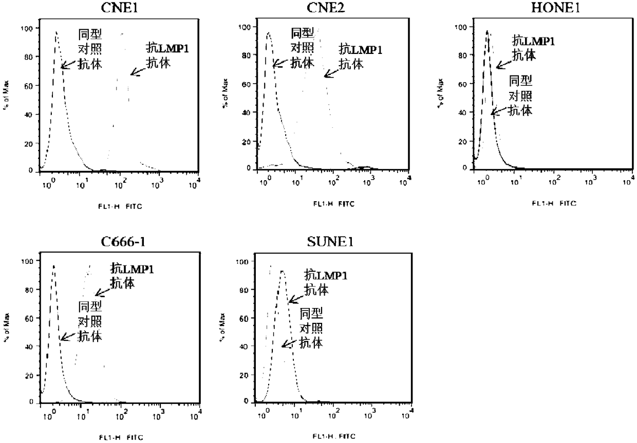 Preparation method and application of third-generation LMP1 (latent membrane protein 1) CAR-T (Chimeric Antigen Receptor T) cells