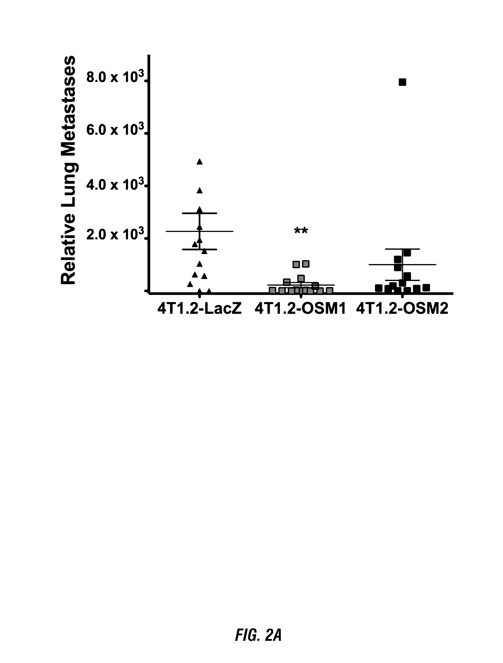 Oncostatin M (OSM) antagonists for preventing cancer metastasis and IL-6 related disorders