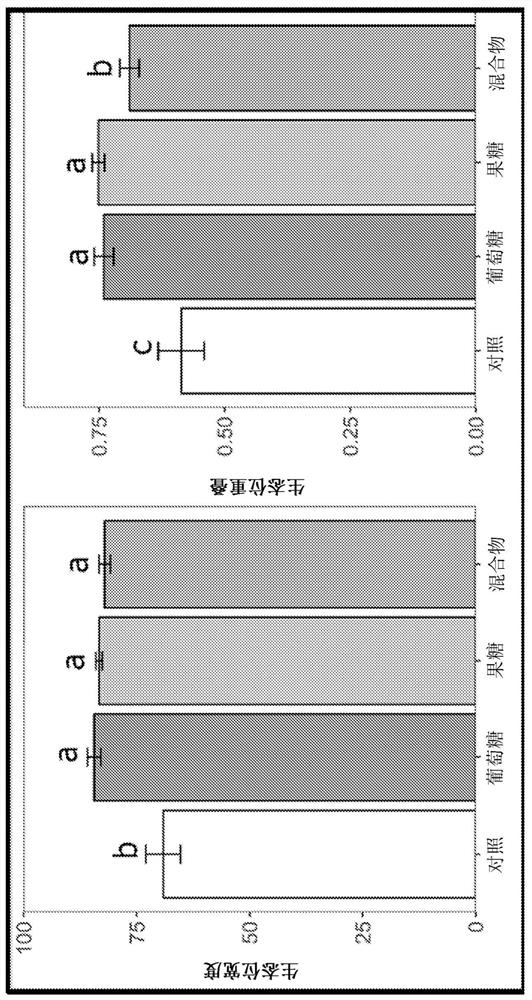 Platform for developing soil-borne plant pathogen inhibiting microbial consortia