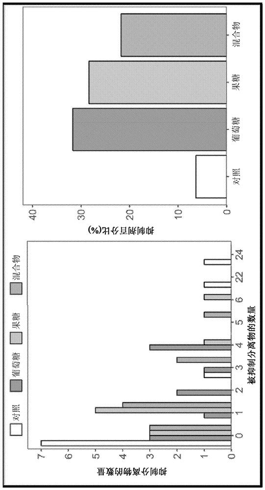 Platform for developing soil-borne plant pathogen inhibiting microbial consortia