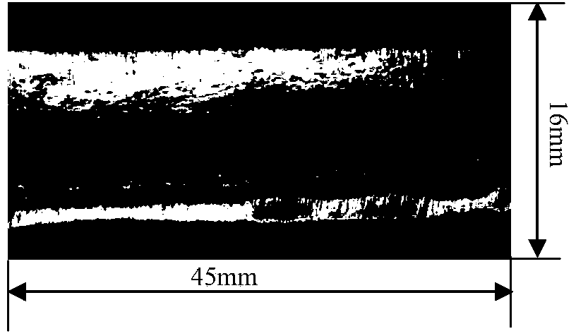 Laser preparation method for large-area patterned graphene