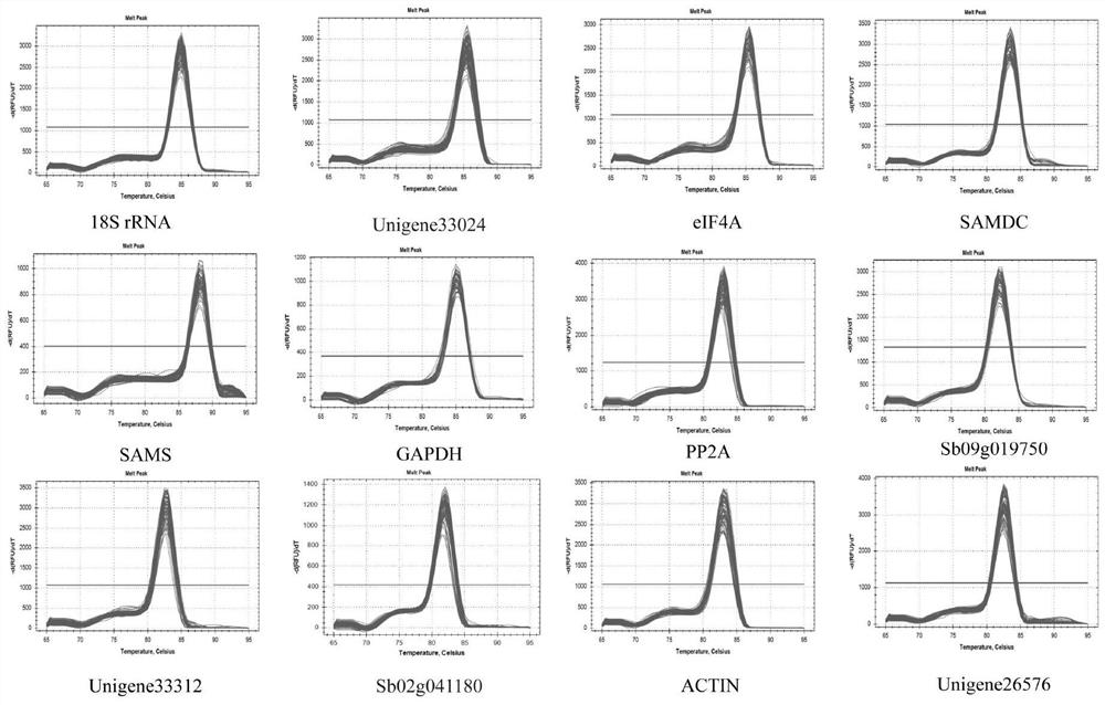 The internal reference gene developed based on Miscanthus transcriptome sequence and its application