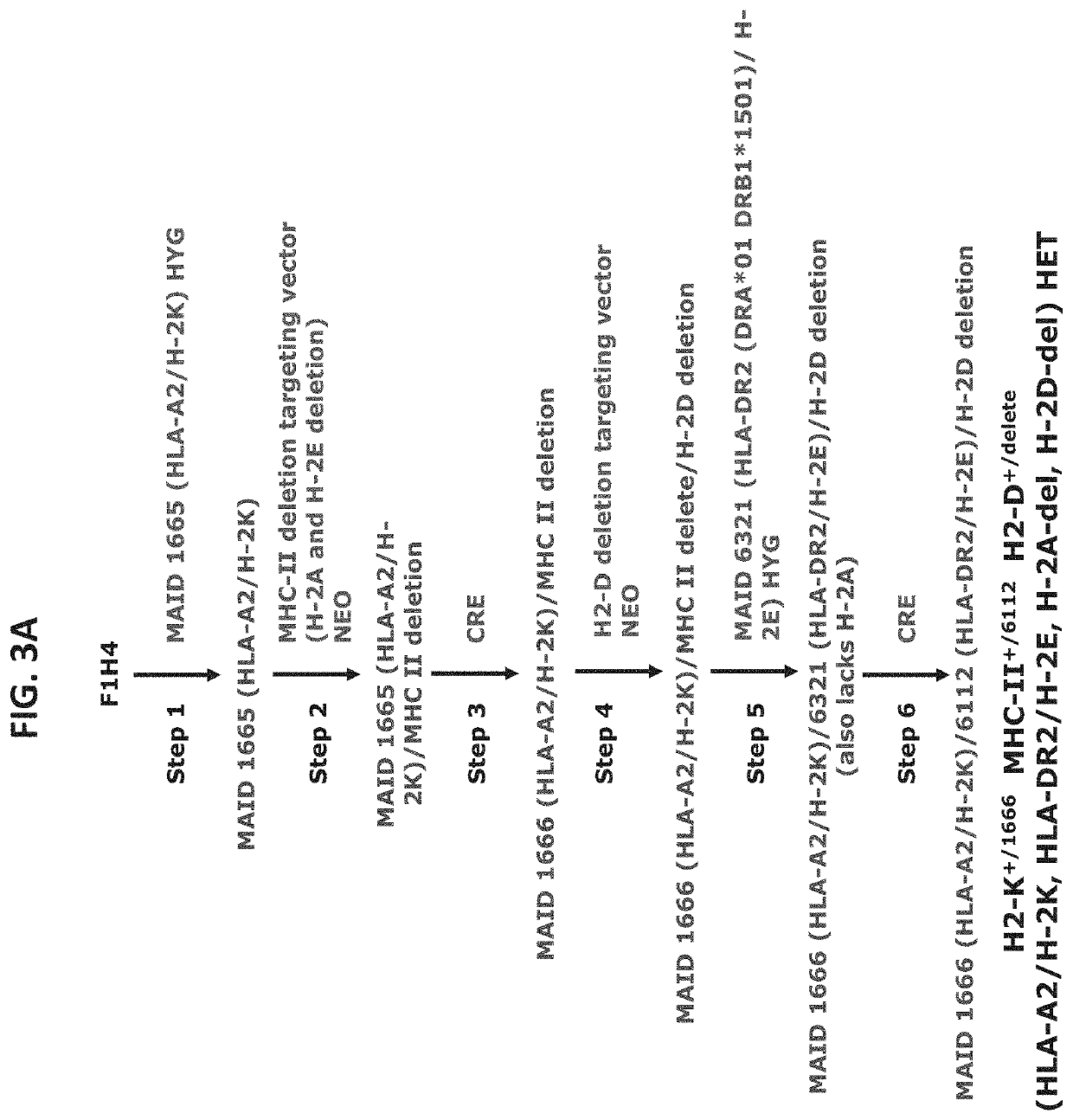 Genetically modified mice comprising humanized cellular immune system components with improved diversity of tcrb repertoire