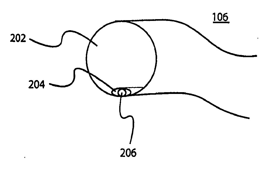 Electronic stethoscope apparatus