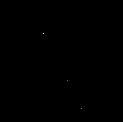 Porcine parvovirus strain