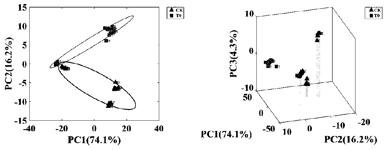 Method for rapidly detecting citrus tristeza virus by electrospray ionization mass spectrometry