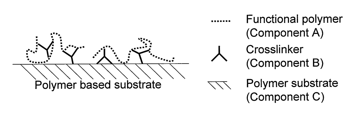 Surface modified polymeric materials, modified functionalized polymers, functional polymers, and methods