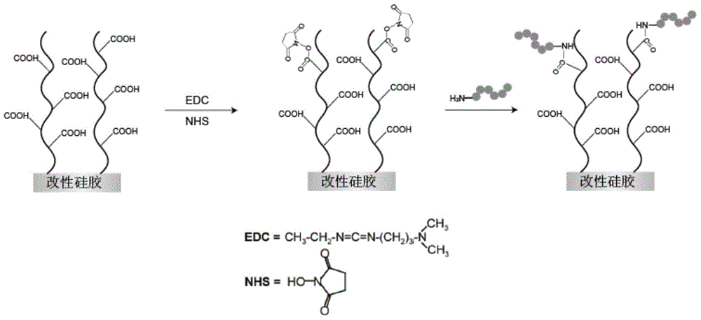 Polypeptide, and a detection device and a detection kit containing polypeptide