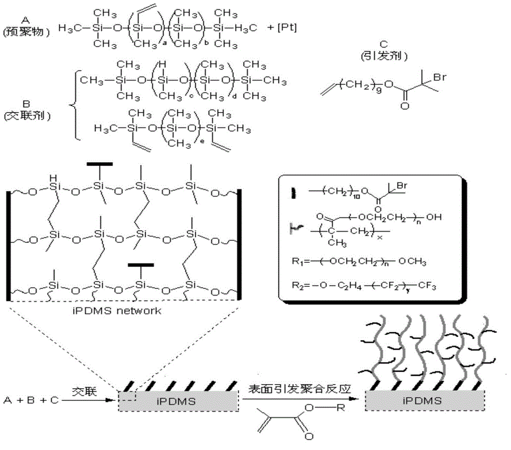 Polypeptide, and a detection device and a detection kit containing polypeptide