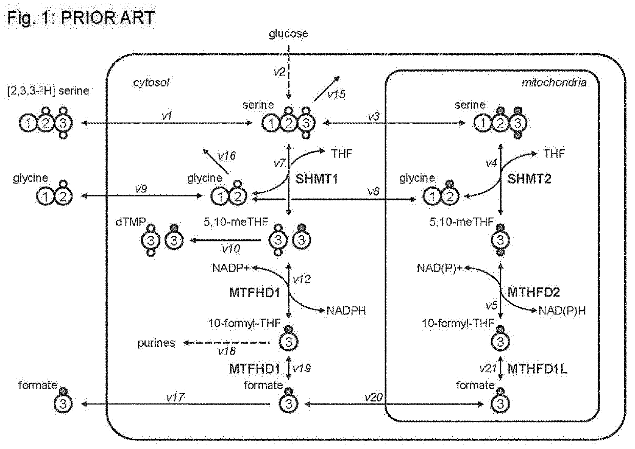 Method and system for treating cancer