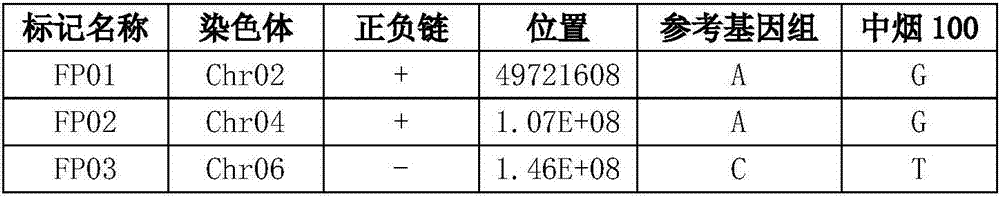 Primer combination and kit for identifying flue-cured tobacco Zhongyan 100, application and detection method