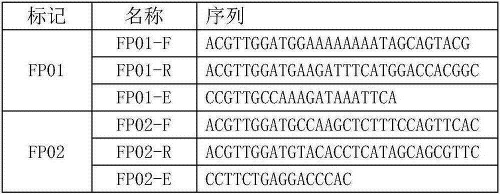 Primer combination and kit for identifying flue-cured tobacco Zhongyan 100, application and detection method