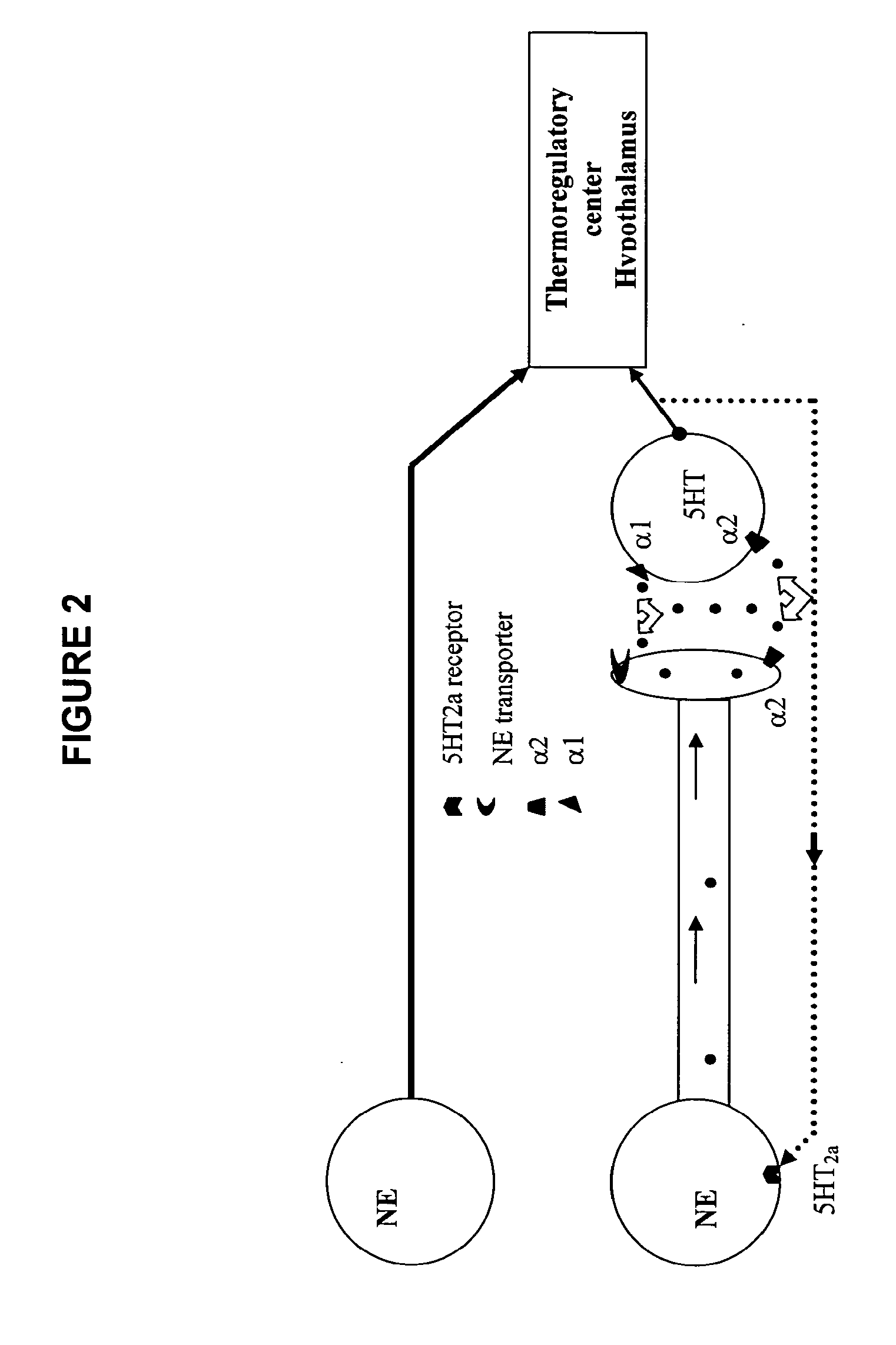 Substituted n-heterocycle derivatives and methods of their use