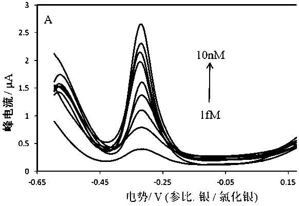 A kind of electrochemical biosensor and its preparation method based on three-strand linked DNA